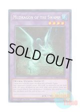 画像: 英語版 RA01-EN028 Mudragon of the Swamp 沼地のドロゴン (シークレットレア) 1st Edition