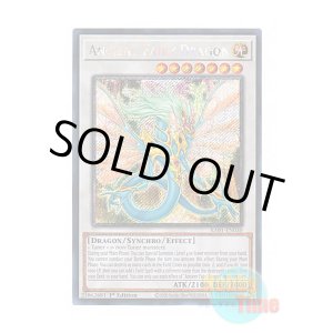 画像: 英語版 RA01-EN030 Ancient Fairy Dragon エンシェント・フェアリー・ドラゴン (プラチナシークレットレア) 1st Edition