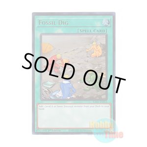 画像: 英語版 RA01-EN053 Fossil Dig 化石調査 (ウルトラレア) 1st Edition