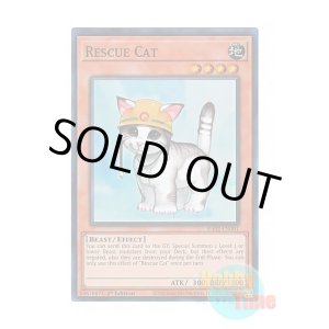 画像: 英語版 RA02-EN001 Rescue Cat レスキューキャット (スーパーレア) 1st Edition