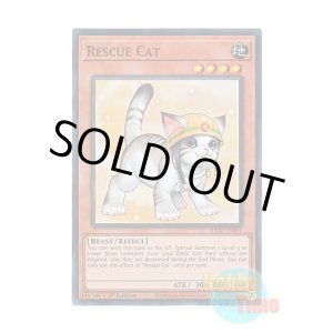 画像: 英語版 RA02-EN001 Rescue Cat【Alternate Art】 レスキューキャット【イラスト違い】 (スーパーレア) 1st Edition