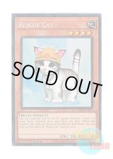 画像: 英語版 RA02-EN001 Rescue Cat レスキューキャット (プリズマティックコレクターズレア) 1st Edition