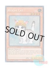 画像: 英語版 RA02-EN001 Rescue Cat レスキューキャット (シークレットレア) 1st Edition
