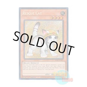 画像: 英語版 RA02-EN001 Rescue Cat【Alternate Art】 レスキューキャット【イラスト違い】 (シークレットレア) 1st Edition