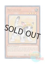 画像: 英語版 RA02-EN001 Rescue Cat【Alternate Art】 レスキューキャット【イラスト違い】 (ウルトラレア) 1st Edition