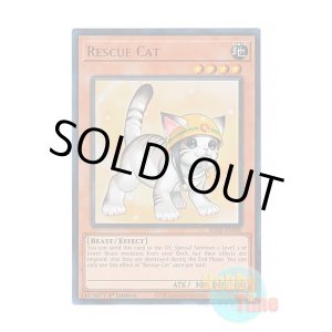 画像: 英語版 RA02-EN001 Rescue Cat【Alternate Art】 レスキューキャット【イラスト違い】 (ウルトラレア) 1st Edition