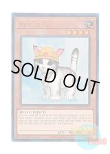 画像: 英語版 RA02-EN001 Rescue Cat レスキューキャット (プリズマティックアルティメットレア) 1st Edition