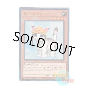 画像: 英語版 RA02-EN001 Rescue Cat レスキューキャット (プリズマティックアルティメットレア) 1st Edition
