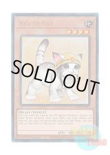 画像: 英語版 RA02-EN001 Rescue Cat【Alternate Art】 レスキューキャット【イラスト違い】 (プリズマティックアルティメットレア) 1st Edition