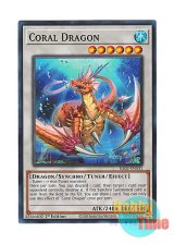 画像: 英語版 RA02-EN031 Coral Dragon 瑚之龍 (スーパーレア) 1st Edition