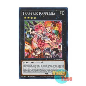 画像: 英語版 RA02-EN034 Traptrix Rafflesia フレシアの蟲惑魔 (スーパーレア) 1st Edition
