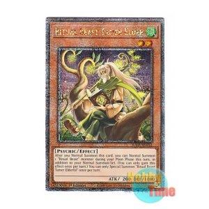 画像: 英語版 RA03-EN012 Ritual Beast Tamer Elder 霊獣使いの長老 (クォーターセンチュリーシークレットレア) 1st Edition