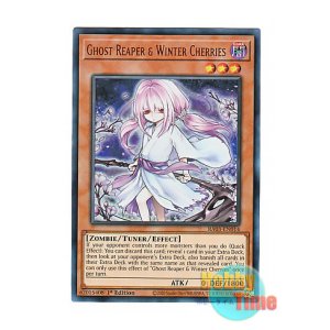 画像: 英語版 RA03-EN014 Ghost Reaper & Winter Cherries【Alternate Art】 浮幽さくら【イラスト違い】 (ウルトラレア) 1st Edition