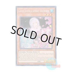 画像: 英語版 RA03-EN020 Ghost Sister & Spooky Dogwood【Alternate Art】 儚無みずき【イラスト違い】 (シークレットレア) 1st Edition