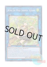 画像: 英語版 RA03-EN045 Wynn the Wind Charmer, Verdant 蒼翠の風霊使いウィン (シークレットレア) 1st Edition