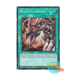 画像: 英語版 RA03-EN061 Red-Eyes Insight レッドアイズ・インサイト (シークレットレア) 1st Edition