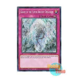 画像: 英語版 RA03-EN077 Grave of the Super Ancient Organism 超古代生物の墓場 (シークレットレア) 1st Edition