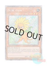 画像: 英語版 RA03-EN211 Dandylion ダンディライオン (プラチナシークレットレア) 1st Edition