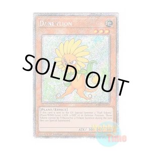 画像: 英語版 RA03-EN211 Dandylion ダンディライオン (プラチナシークレットレア) 1st Edition