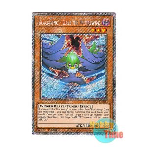 画像: 英語版 RA03-EN215 Blackwing - Gale the Whirlwind BF-疾風のゲイル (プラチナシークレットレア) 1st Edition