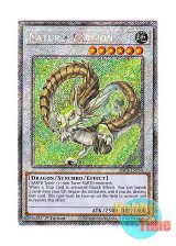 画像: 英語版 RA03-EN243 Naturia Barkion ナチュル・パルキオン (プラチナシークレットレア) 1st Edition