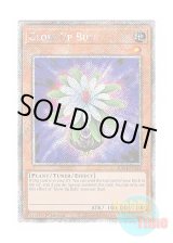 画像: 英語版 RA03-EN245 Glow-Up Bulb グローアップ・バルブ (プラチナシークレットレア) 1st Edition