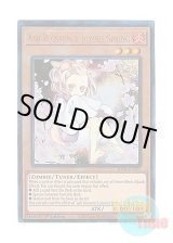 画像: 英語版 RA04-EN025 Ash Blossom & Joyous Spring 灰流うらら (プリズマティックアルティメットレア) 1st Edition