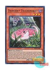 画像: 英語版 RA04-EN027 Danger!? Tsuchinoko? 未界域のツチノコ (スーパーレア) 1st Edition