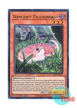 画像: 英語版 RA04-EN027 Danger!? Tsuchinoko? 未界域のツチノコ (ウルトラレア) 1st Edition