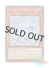 画像: 英語版 RA04-EN050 Mulcharmy Fuwalos マルチャミー・フワロス (プラチナシークレットレア) 1st Edition