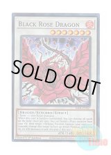 画像: 英語版 RA04-EN057 Black Rose Dragon ブラック・ローズ・ドラゴン (スーパーレア) 1st Edition