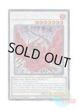 画像: 英語版 RA04-EN057 Black Rose Dragon ブラック・ローズ・ドラゴン (シークレットレア) 1st Edition