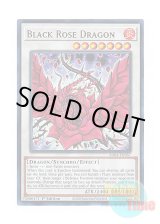 画像: 英語版 RA04-EN057 Black Rose Dragon ブラック・ローズ・ドラゴン (ウルトラレア) 1st Edition