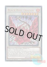 画像: 英語版 RA04-EN057 Black Rose Dragon ブラック・ローズ・ドラゴン (プリズマティックアルティメットレア) 1st Edition