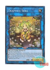 画像: 英語版 RA04-EN075 Traptrix Sera セラの蟲惑魔 (プリズマティックコレクターズレア) 1st Edition