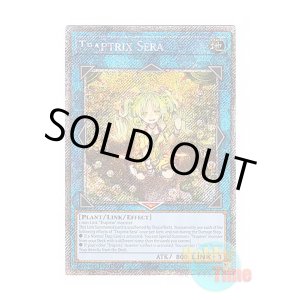 画像: 英語版 RA04-EN075 Traptrix Sera セラの蟲惑魔 (プラチナシークレットレア) 1st Edition