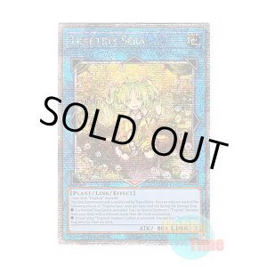 画像: 英語版 RA04-EN075 Traptrix Sera セラの蟲惑魔 (クォーターセンチュリーシークレットレア) 1st Edition