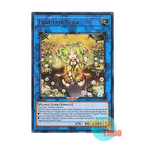 画像: 英語版 RA04-EN075 Traptrix Sera セラの蟲惑魔 (ウルトラレア) 1st Edition