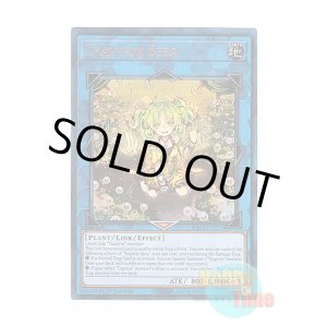 画像: 英語版 RA04-EN075 Traptrix Sera セラの蟲惑魔 (プリズマティックアルティメットレア) 1st Edition