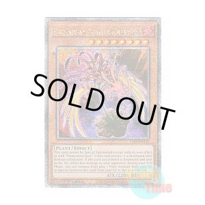 画像: 英語版 RA04-EN136 Phoenixian Cluster Amaryllis フェニキシアン・クラスター・アマリリス (クォーターセンチュリーシークレットレア) 1st Edition