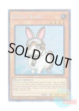 画像: 英語版 KICO-EN034 Rescue Rabbit レスキューラビット (コレクターズレア) 1st Edition