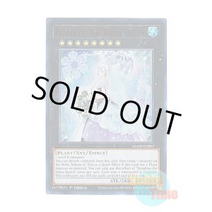 画像: 英語版 MAZE-EN053 Teardrop the Rikka Queen 六花聖ティアドロップ (ウルトラレア) 1st Edition