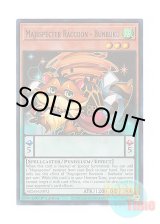 画像: 英語版 MZMI-EN072 Majespecter Raccoon - Bunbuku マジェスペクター・ラクーン (スーパーレア) 1st Edition