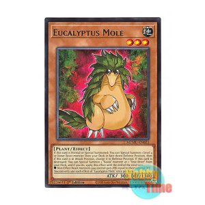 画像: 英語版 MZMU-EN021 Eucalyptus Mole ユーカリ・モール (レア) 1st Edition