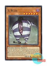 画像: 英語版 MZMU-EN075 Il Blud 地獄の門番イル・ブラッド (レア) 1st Edition