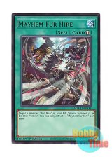 画像: 英語版 MZMU-EN115 Mayhem Fur Hire 烈風の空牙団 (レア) 1st Edition
