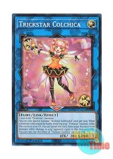 画像: 英語版 MZTM-EN028 Trickstar Colchica トリックスター・コルチカ (スーパーレア) 1st Edition