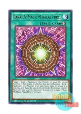 画像: 英語版 MZTM-EN056 Rank-Up-Magic Magical Force RUM－マジカル・フォース (レア) 1st Edition