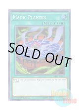 画像: 英語版 SHVA-EN055 Magic Planter マジック・プランター (スーパーレア) 1st Edition
