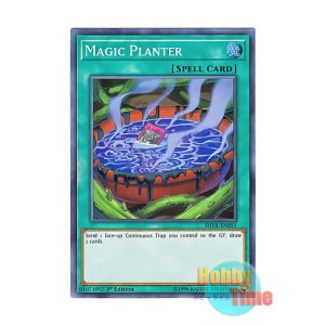 画像: 英語版 SHVA-EN055 Magic Planter マジック・プランター (スーパーレア) 1st Edition